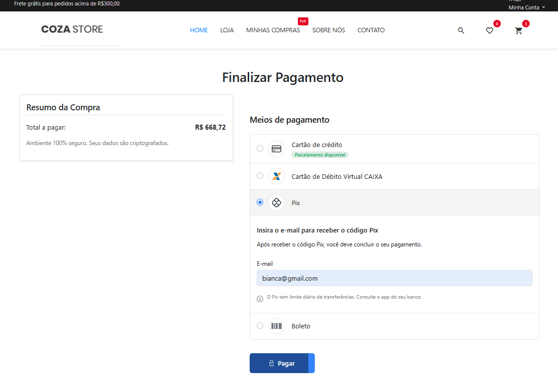 Visualização do Checkout na Loja Virtual